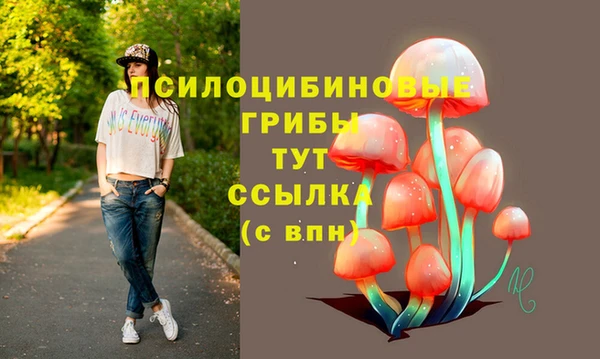 кокс Армянск
