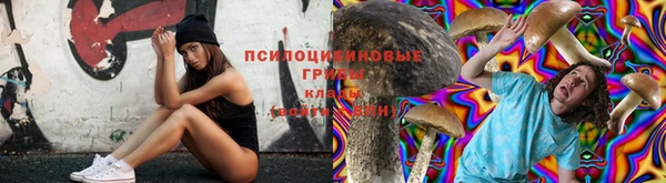 кокс Армянск